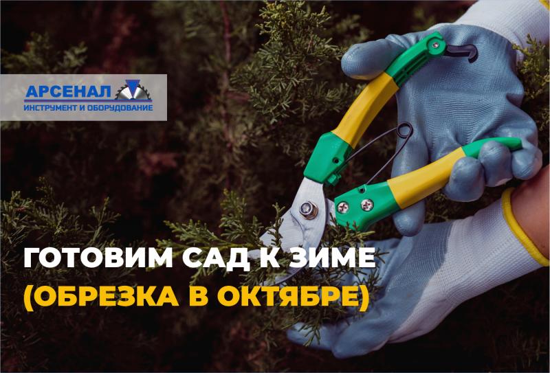 Октябрьская обрезка: что нужно успеть до морозов Октябрьская обрезка: что нужно успеть до морозов
