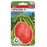 Без имени