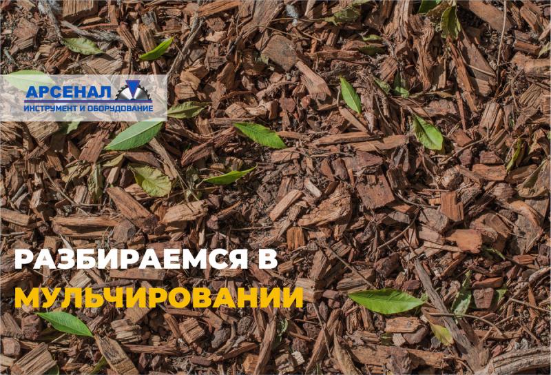 Мульчирование почвы: секрет здорового сада и богатого урожая