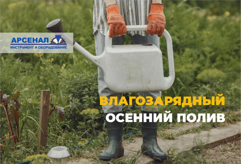 Влагозарядный осенний полив: секретная технология для зимовки сада Влагозарядный осенний полив: секретная технология для зимовки сада