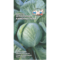 каменая голова