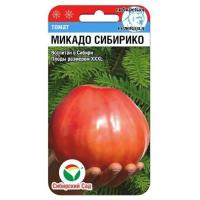 Без имени