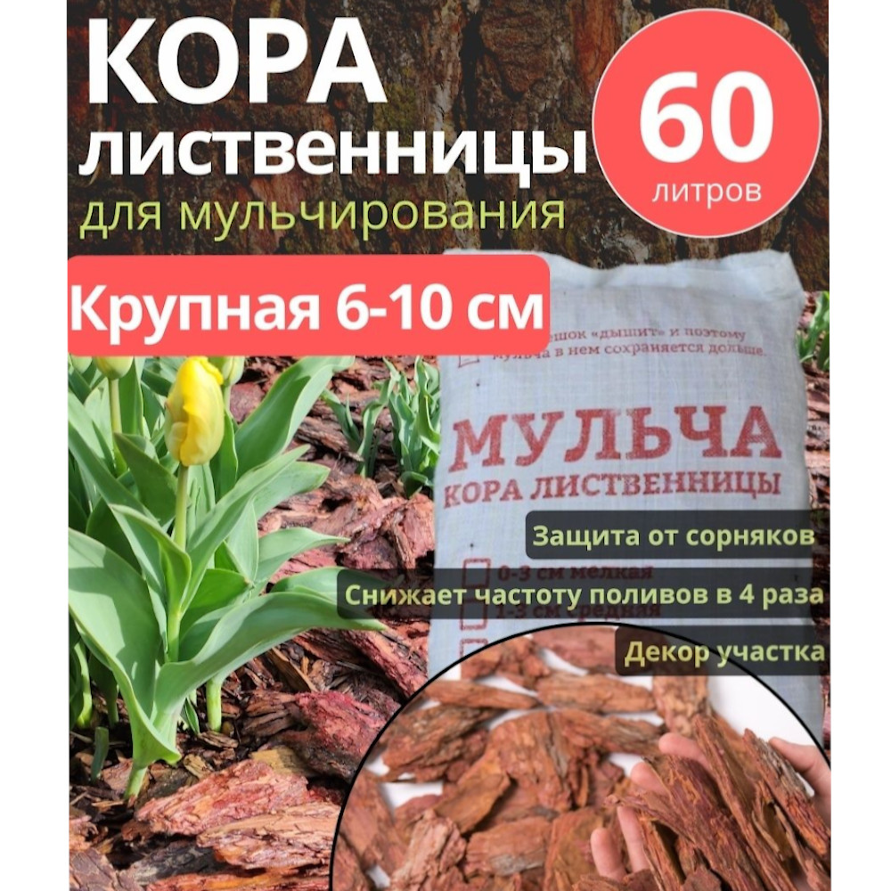 Кора лиственницы более 10 см крупная 60 л 