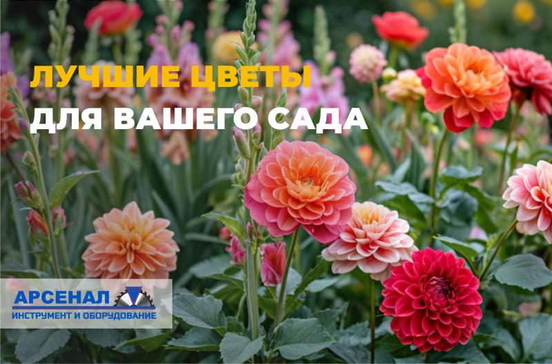 Какие цветы идеально подойдут вашему саду: покупаем луковицы и клубни в марте