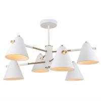 челсилюстра