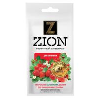 sashe-dlya-klubniki-litso-2700h2400