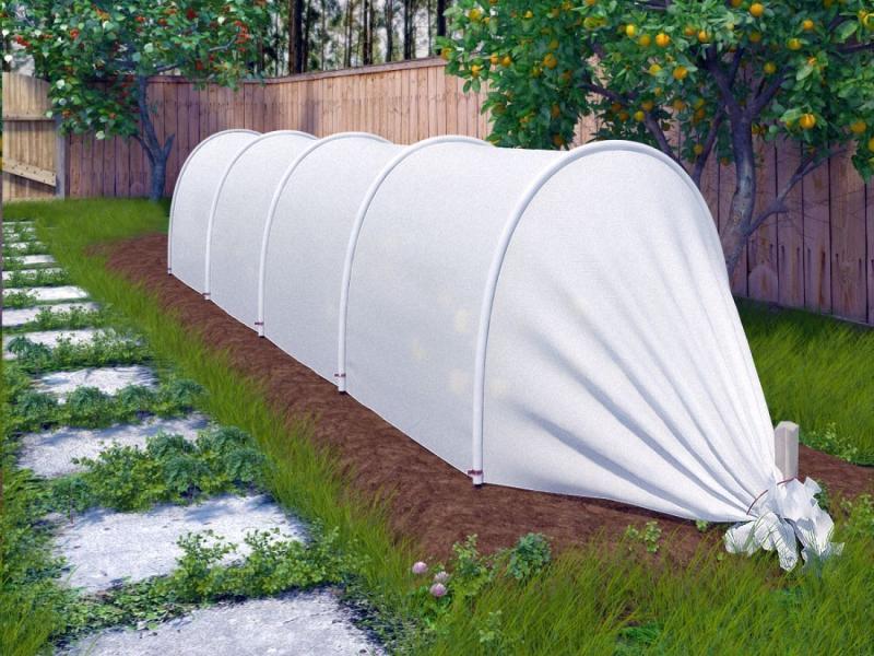 Что нужно знать при выборе парника?