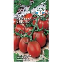 Без имени