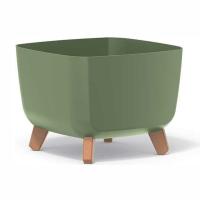 кашпопопопопоо