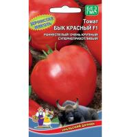 Без имени