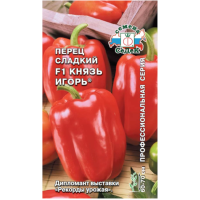 князь игорь