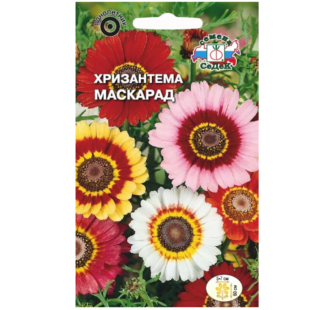 Хризантема Маскарад (корейская, килеватая, смесь цветов) ДУ