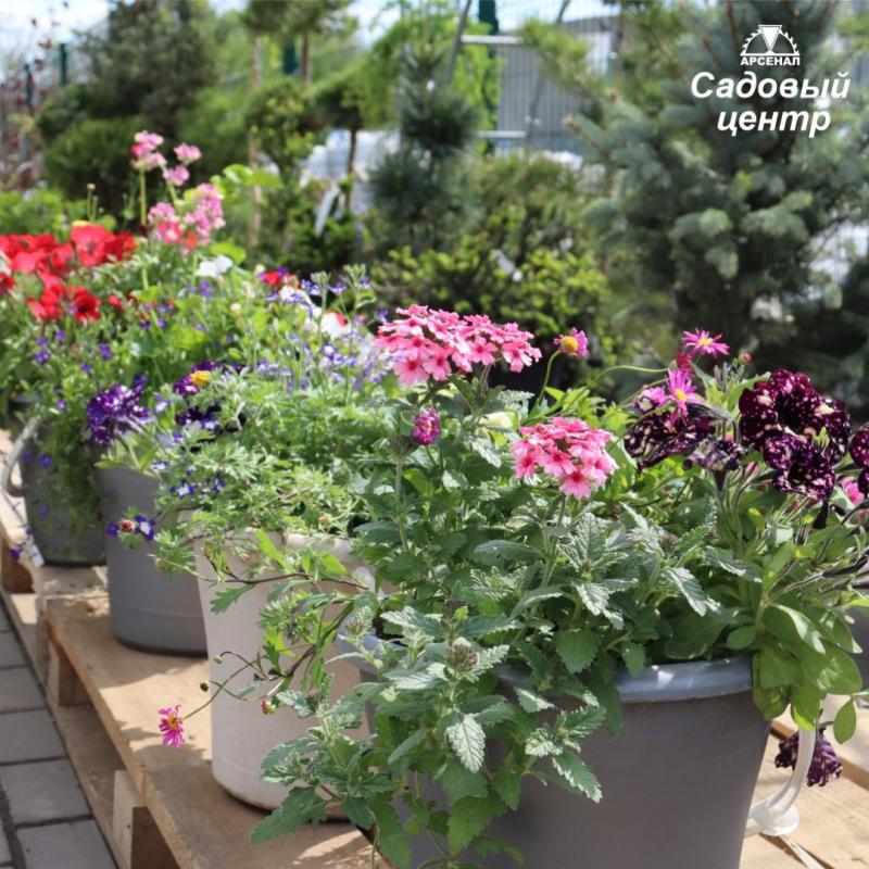 Лето на подходе  Лето на подходе