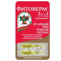 Без имени