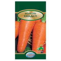 морковь канадская