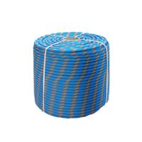 петляарсенал