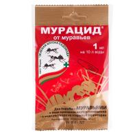 Без имени