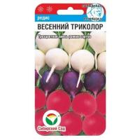 Без имени