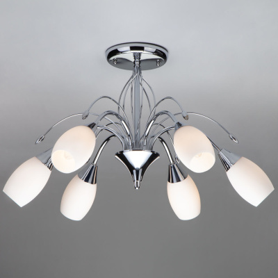 Потолочный светильник /   хром 22080/6 