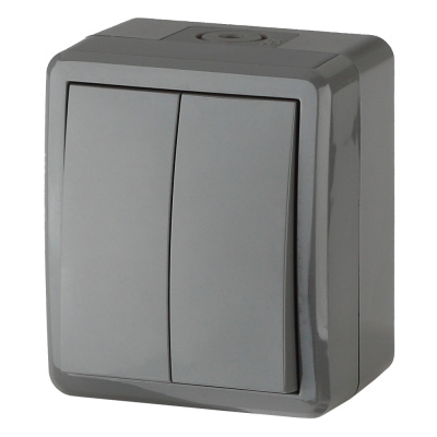 Выключатель двойной IP54 10АХ-250В ОУ Эра Эксперт серый