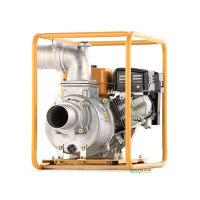 Мотопомпа бензиновая Caiman TP110EX