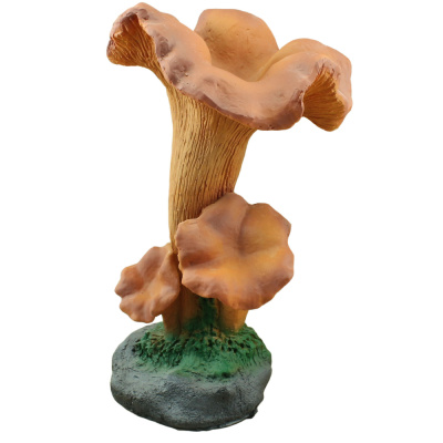 Грибы Лисички