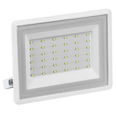 Прожектор светодиодный СДО 06-50 IP65 6500K белый