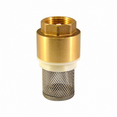 Обратный клапан с сеткой 3/4" CTM 