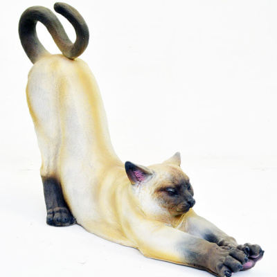 Сиамская кошка