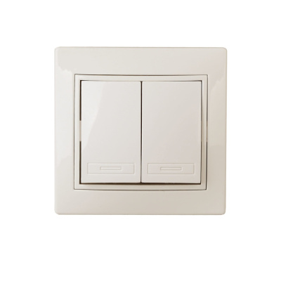 Выключатель двойной, 10А-250В, IP20, СУ, сл.кость Intro Plano 1-104-02 