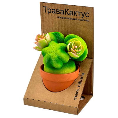 ТраваКактус Маммиллярия зеленый (Сады Аурики)