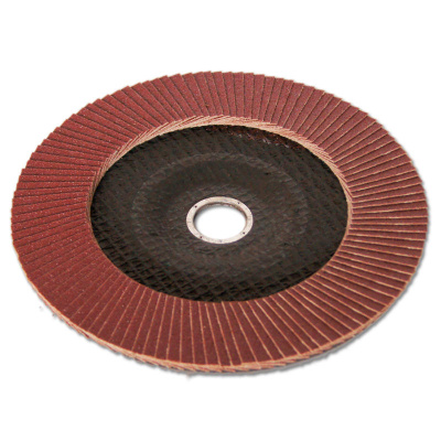 Круг лепестковый торцевой 180 х 22 Р 40