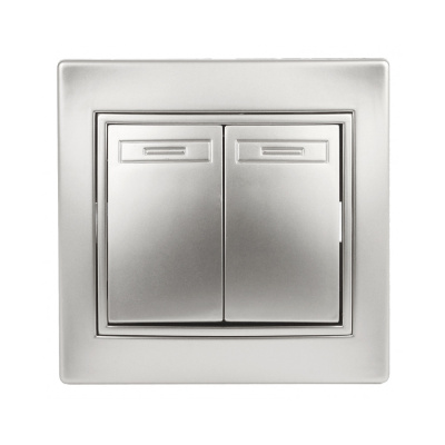 Выключатель двойной, 10А-250В, IP20, СУ, алюминий Intro Plano 1-104-03 