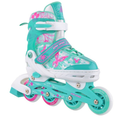 Раздвижные роликовые коньки Soul Mint S(31-34)