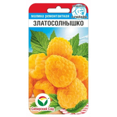 Малина Златосолнышко 10шт (Сиб Сад)