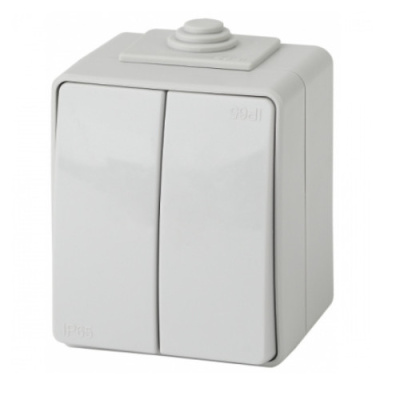Выключатель двойной ЭРА IP65, 10АХ-250В, серый, 11-1604-03 (1/10/100) 