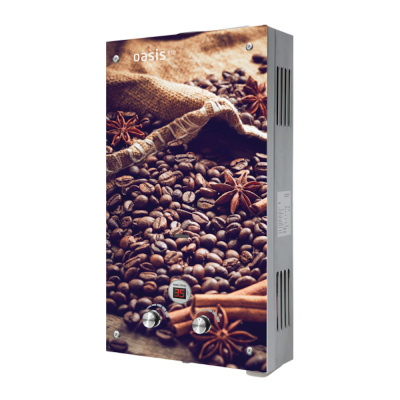 Водонагреватель Газовый проточный "Oasis Eco" К-20 кВт (Д)