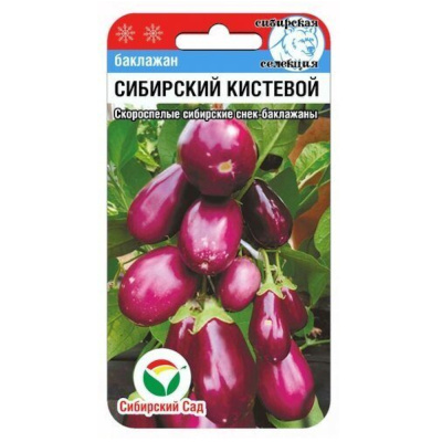 Баклажан Сибирский кистевой 20шт Ранн (Сиб сад)