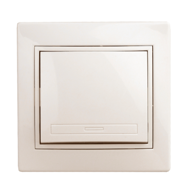 Выключатель, 10А-250В, IP20, СУ, сл.кость Intro Plano 1-101-02 