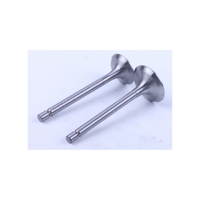 Клапаны (пара)-186F-Premium