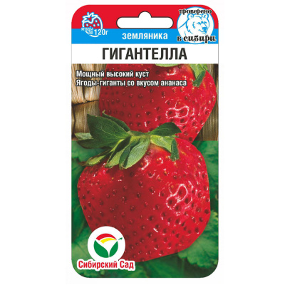 Земляника (клубника) Гигантелла крупноплодная 10шт (Сиб сад)