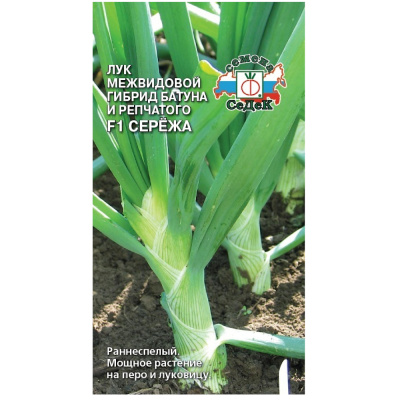 лук Сережа F1 (БАТ, на крупное перо) (Евро, 0,3; 12368   )