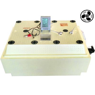 Инкубатор бытовой "Золушка" 2020 70/220/12 автомат.переворот с ВЕНТИЛЯТОРОМ