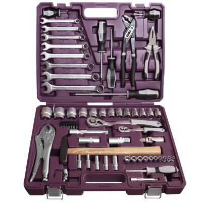 Набор инструмента универсальный 1/4", 1/2"DR, 72 предмета TS072 