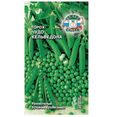 горох Чудо Кельведона