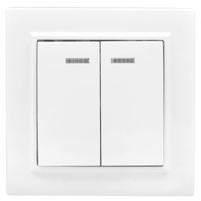 Выключатель2-клавишный СП 10 А с индикатором белый Basic
