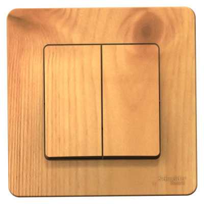 Выключатель скрытой установки двухклавишный(сх.5), 10A, 250B, ясень BLANCA 
