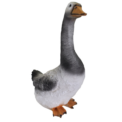 Гусь с длинной шеей