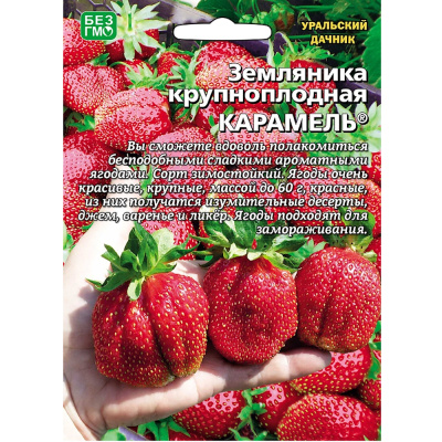 Земляника Карамель - крупноплодная (УД) Е/П Б/Ф
