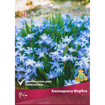 Хионодокса Форбса 5-6/К 10шт